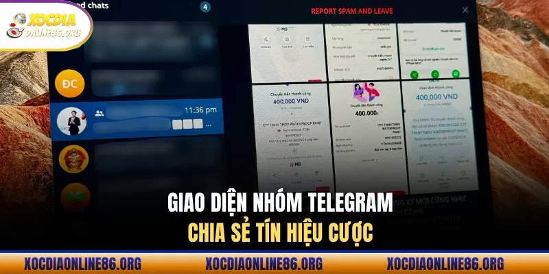 Giao diện nhóm Telegram chia sẻ tín hiệu cược